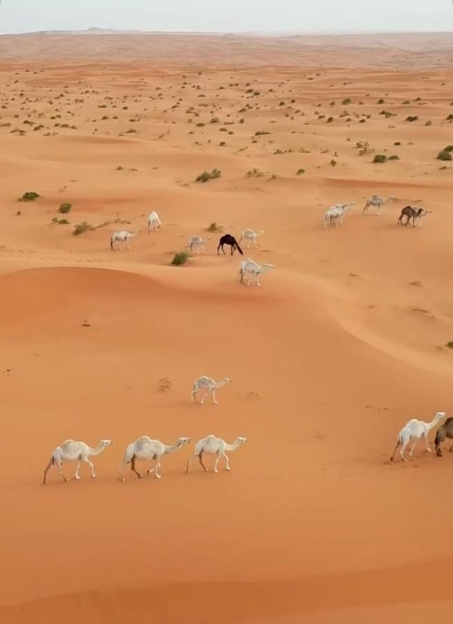 Desert Diamond Private New Camp Bidiya ภายนอก รูปภาพ